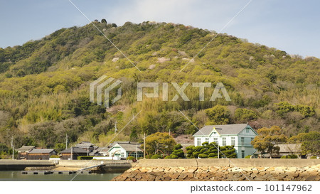淡島（香川縣） 從淡島港眺望城野山的景色 1 101147962