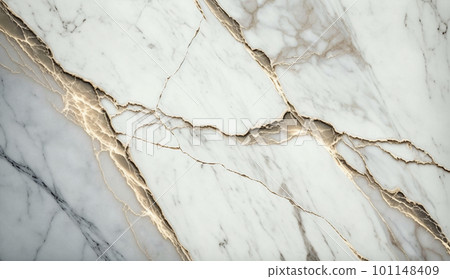 大理石花紋背景（淺色）詳細CG 101148409