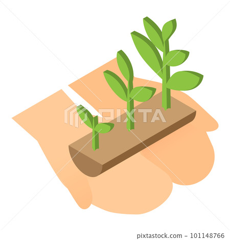 Illustration of Futaba growing on the palm Illustration of Futaba growing on the palm 101148766