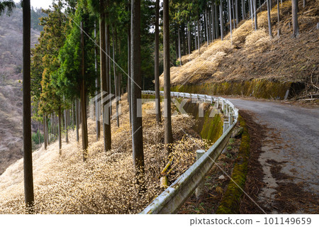 Yashikiyama Mitsumata Colony [群馬縣桐生市] 101149659