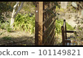 early spring scenery early spring scenery 101149821