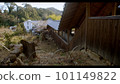 Satoyama scenery in winter Satoyama scenery in winter 101149822