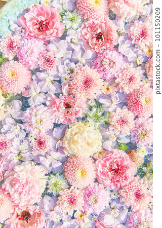 Gyoda City Flower Purification 101150209