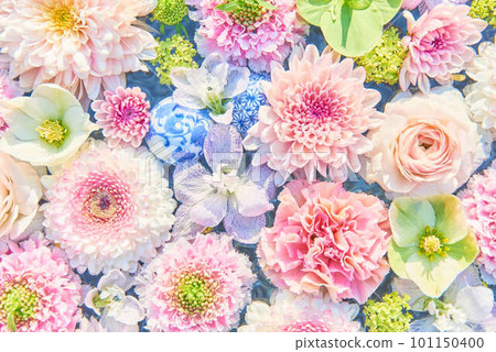 行田市花卉淨化 101150400