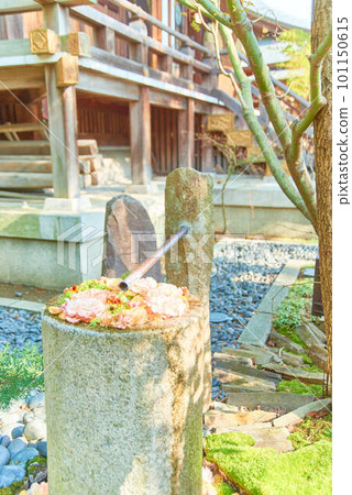 Hanatemizu Hachiman Shrine, Gyoda City Hanatemizu Hachiman Shrine, Gyoda City 101150615