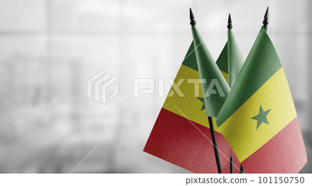 Small flags of the Senegal on an abstract blurry background Small flags of the Senegal on an abstract blurry background 101150750