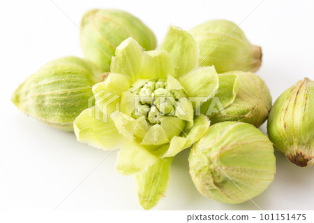 Fukinoto Fukinoto 101151475