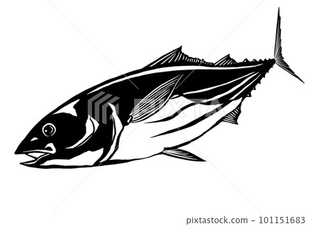 Illustration of a simple bonito - Stock Illustration [101151683] - PIXTA