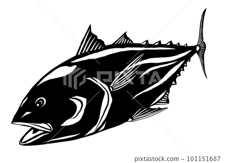 健康鰹魚的簡單說明 健康鰹魚的簡單說明 101151687