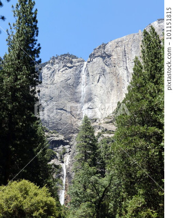 USA_Yosemite National Park 128 101151815