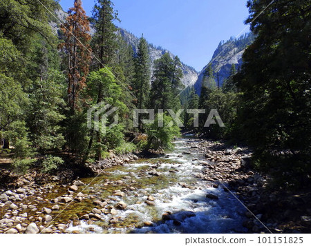 America_Yosemite National Park 138 America_Yosemite National Park 138 101151825