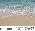 sandy beach with white waves 101152057