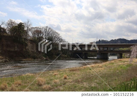 仙台市青葉區廣瀨川河床周圍的櫻花 仙台市青葉區廣瀨川河床周圍的櫻花 101152216