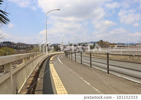 Cherry blossoms seen from the Sendai West Road Bridge Cherry blossoms seen from the Sendai West Road Bridge 101152333