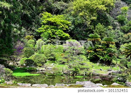大聖院的本光寺庭園景觀 大聖院的本光寺庭園景觀 101152451