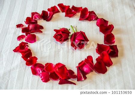 Roses on a bed of white mattresses decorate a wedding celebration or Valentine's Day. Roses on a bed of white mattresses decorate a wedding celebration or Valentine's Day. 101153650