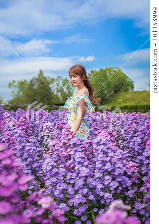 woman wearing a long dress in a field of margaret flowers exudes a relaxed and freedom. Soft and select focus 101153999