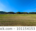 Scenery of Oaza Nagaho District, Shunan City, Yamaguchi Prefecture (September 2022) 101154153