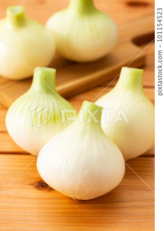 新洋蔥 新洋蔥 101154523