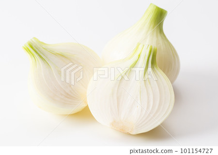 新洋蔥 新洋蔥 101154727