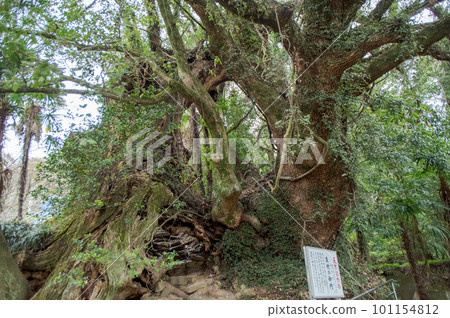 Iki no Mikado, Omishima Island, Ehime Prefecture, a pilgrimage route to Oyamazumi Shrine Okunoin 101154812