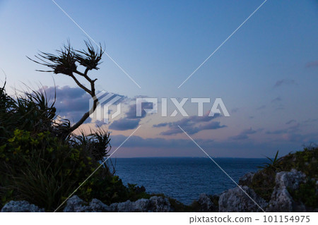 Okinawa-Evening view of Manzamo- 101154975
