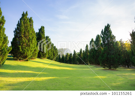 Landscape, green park or garden at outdoor. Landscape, green park or garden at outdoor. 101155261