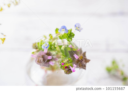 Bouquet of spring wildflowers Bouquet of spring wildflowers 101155687