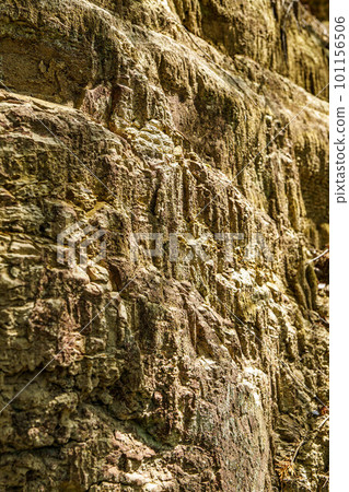Cliff surface 101156506