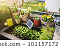 Solar battery in high garden bed on balcony 101157172