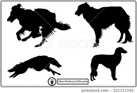silken windhound vector silhouette set silken windhound vector silhouette set 101157285