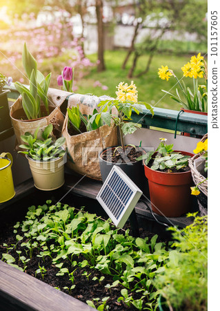 Solar battery in high garden bed on balcony 101157605