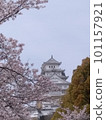 Himeji Castle with cherry blossoms (Part 3) 101157921