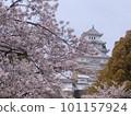 Himeji Castle colored with cherry blossoms (Part 2) 101157924