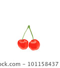 Delicious cherries 101158437