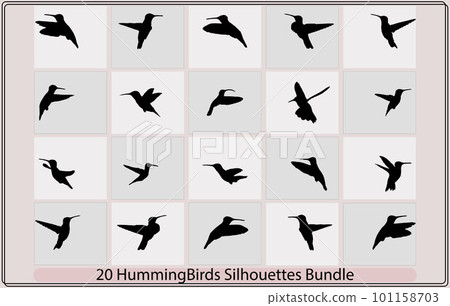 hummingbird silhouettes,humming bird silhouette.Humming Colibri Bird Icon Silhouette Illustration,Vector Collection of humming Bird Silhouettes hummingbird silhouettes,humming bird silhouette.Humming Colibri Bird Icon Silhouette Illustration,Vector Collection of humming Bird Silhouettes 101158703