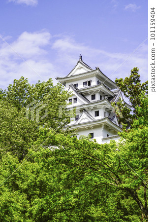 被新鮮的綠樹包圍的郡上八幡城 101159404