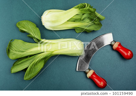 Fresh Bok Choy or Pak Choi Fresh Bok Choy or Pak Choi 101159490