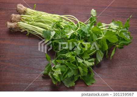 食用綠葉蔬菜三葉草 食用綠葉蔬菜三葉草 101159567
