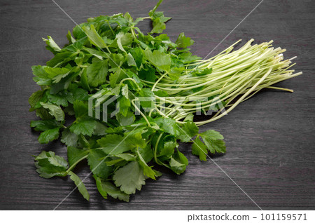 食用綠葉蔬菜三葉草 101159571