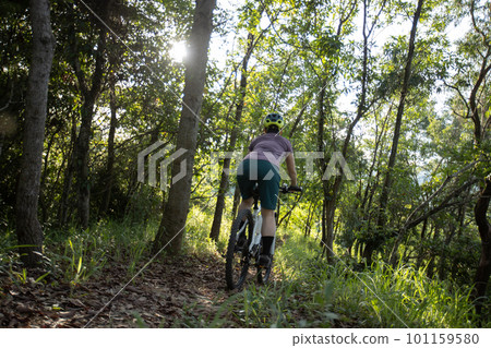 Mountain biking in summer forest Mountain biking in summer forest 101159580