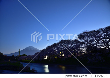 Cherry blossoms, spring viewed from Fujinomiya City <Ryuganbuchi> 101159708