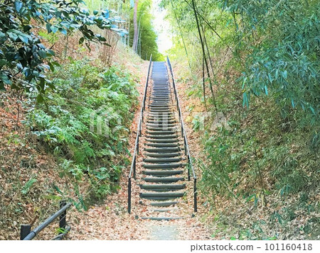 long mountain stairs 101160418