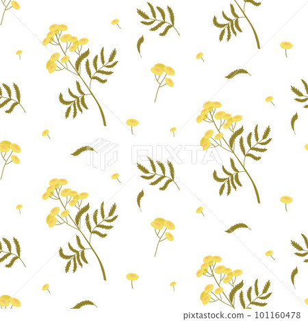Light seamless pattern with twigs and flowers of tansy on a white background 101160478