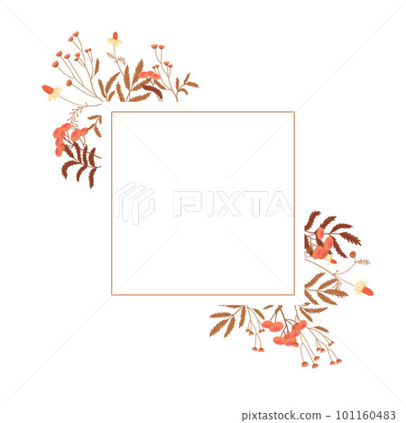square frame with autumn flowers at the corners isolated on white background square frame with autumn flowers at the corners isolated on white background 101160483