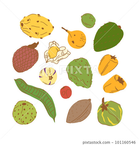 Set of Peruvian ripe fruits in a peel in a flat style.  101160546
