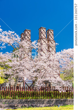 (Shizuoka Prefecture) Nirayama Reverberatory Furnace with cherry blossoms in full bloom 101160757