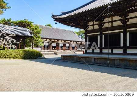 【奈良縣】奈良市東招大寺（2023年3月28日拍攝） 101160809