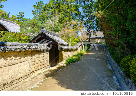 [Nara Prefecture] Toshodaiji Temple in Nara City (taken on March 28, 2023) 101160816
