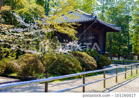 [Nara Prefecture] Toshodaiji Temple, Nara City (Photographed on March 28, 2023) 101160817